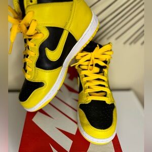 Nike Dunk Hi SP - 6 - Like New